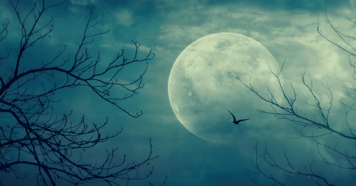 A full moon behind bare tree branches with a bird in flight