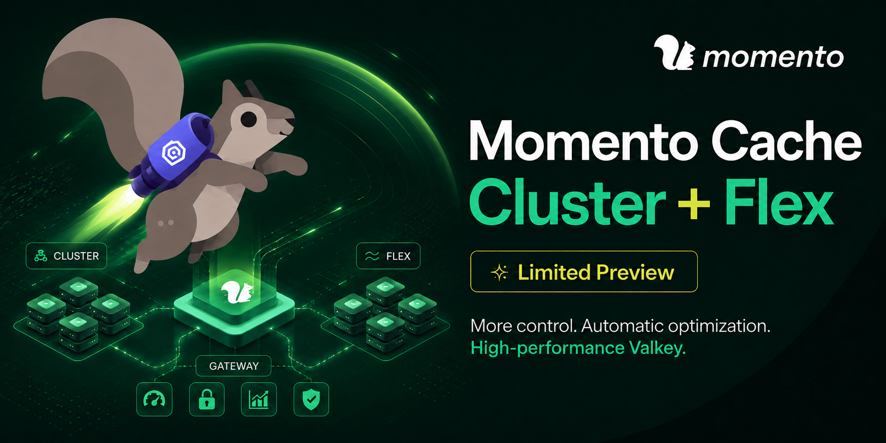 Momento squirrel flying over a gateway connected to Cluster and Flex capacity.