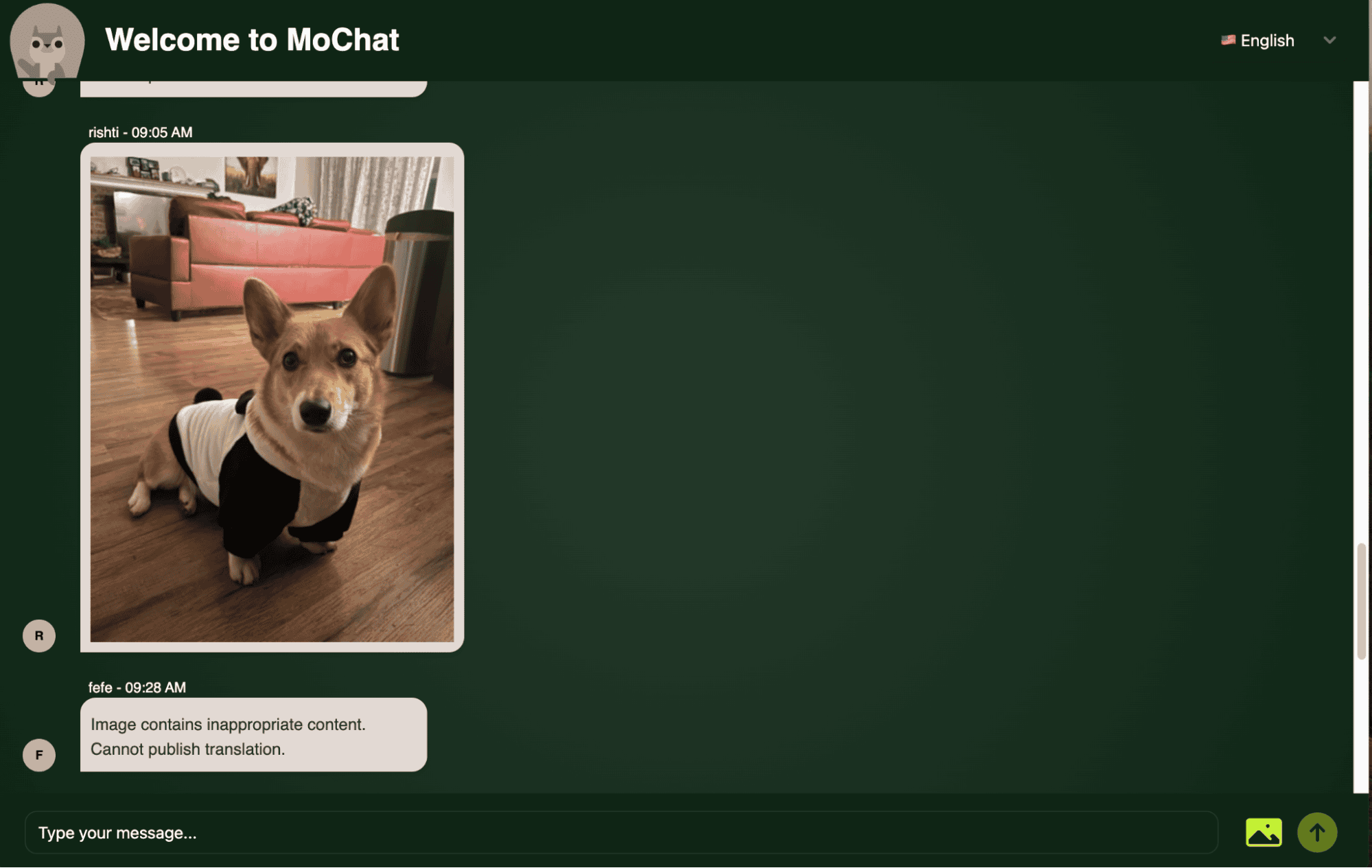 犬の写真と、別の画像を公開・翻訳できないという通知を表示する MoChat の画面。