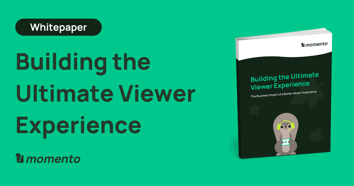 Building the ultimate viewer experience whitepaper banner