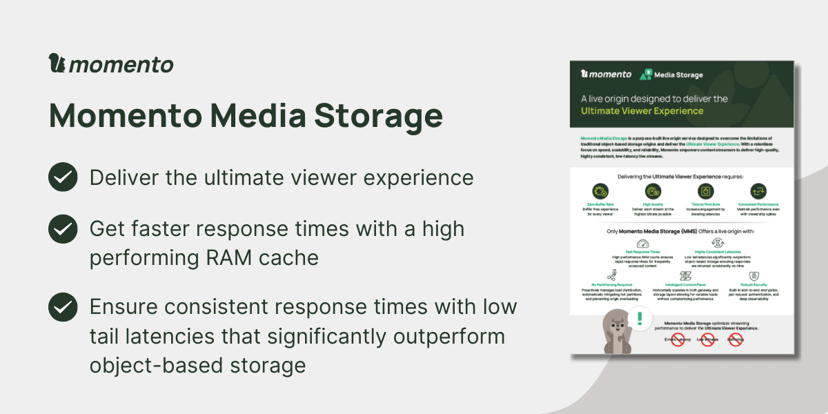 Momento media storage banner image